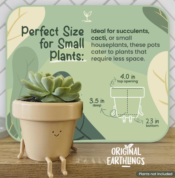 Original Earthlings succulent pot with removable drainage plug for easy moisture control.