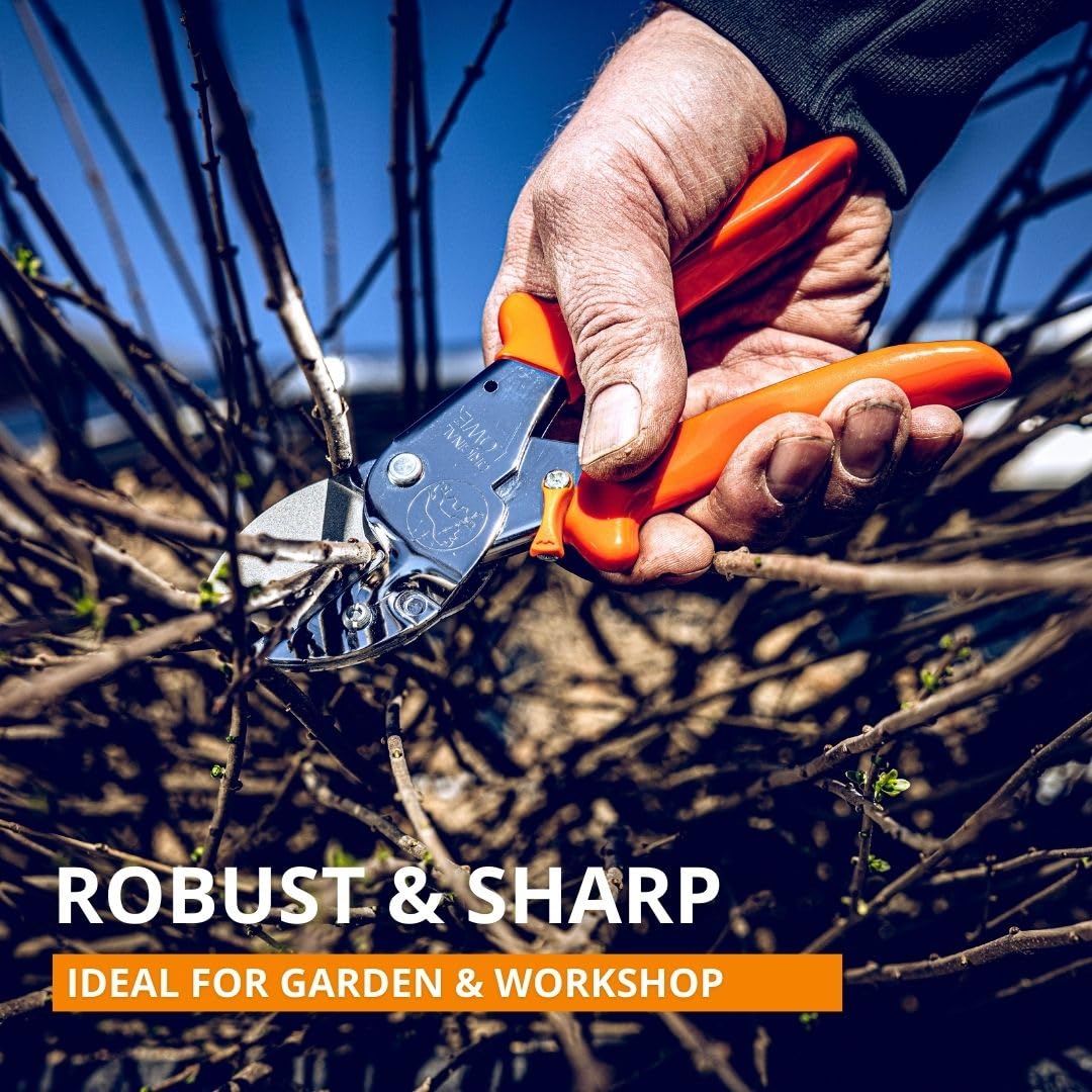 Original LÖWE hedge trimmer in action delivering clean cuts