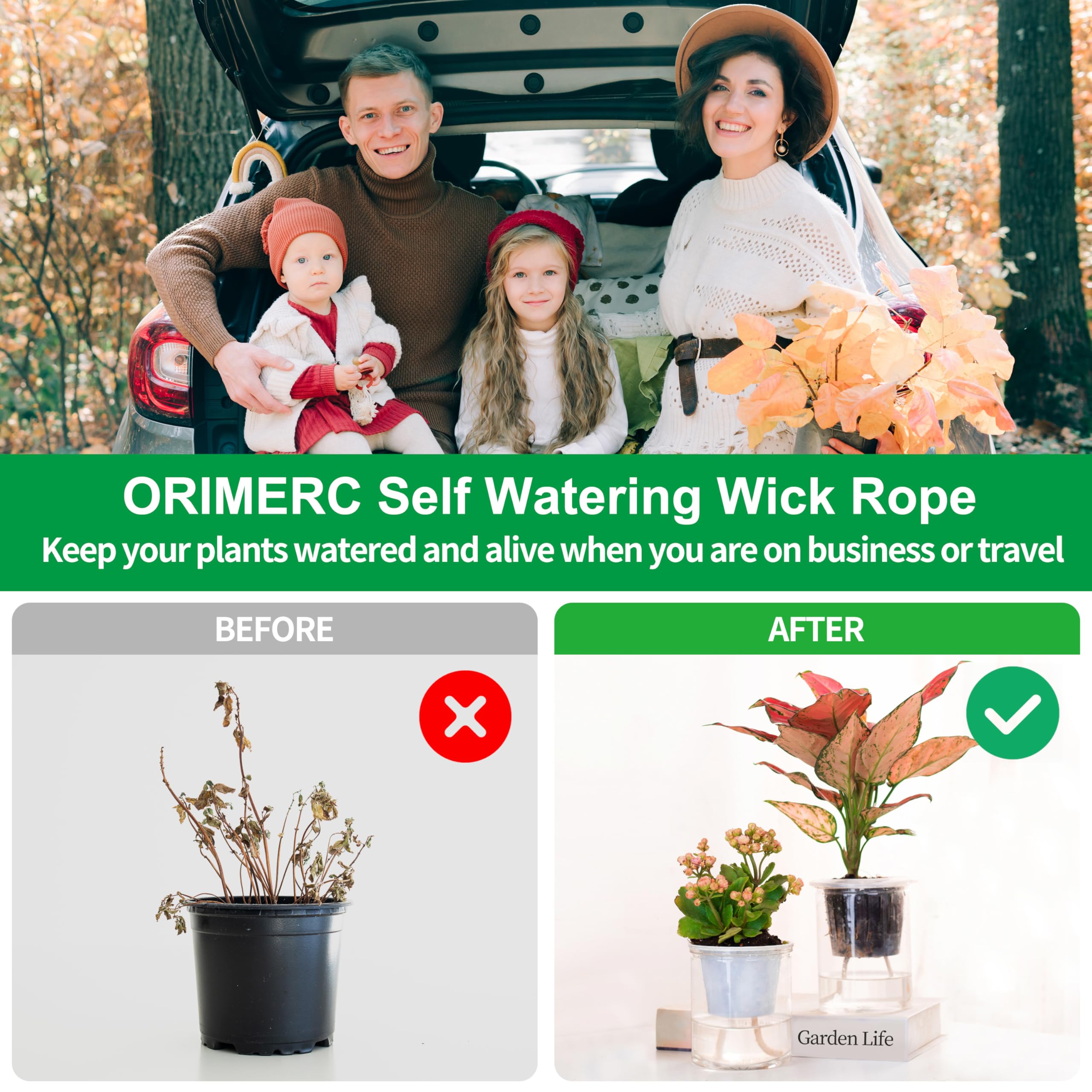 ORIMERC works with clay pebbles and rock wool as growing mediums.