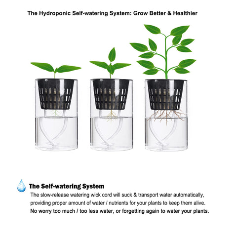 Orimerc Kratky-ready net pot supports simple hydroponics.