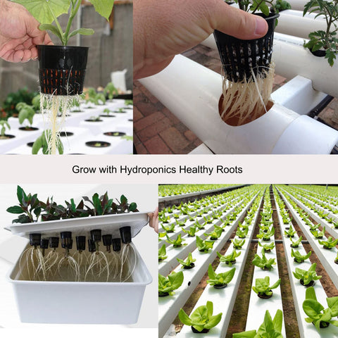 ORIMERC orchid net pot designed for improved root airflow