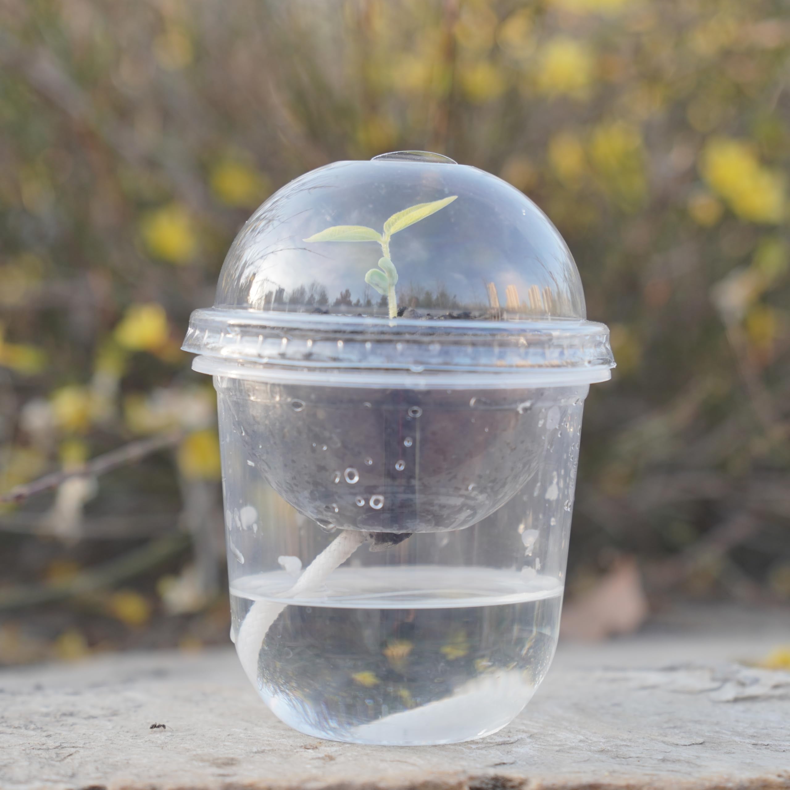 ORIMERC plant labels help you track seed varieties and growth progress