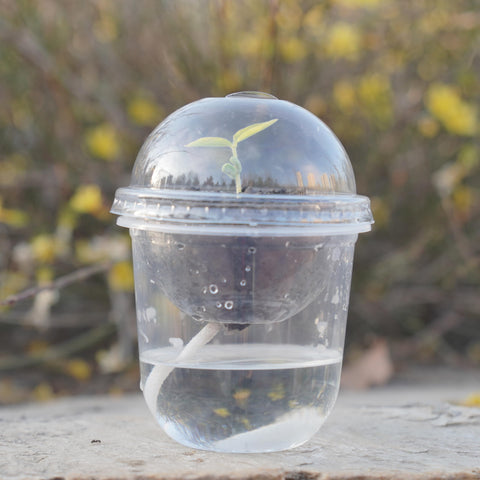 ORIMERC plant labels help you track seed varieties and growth progress