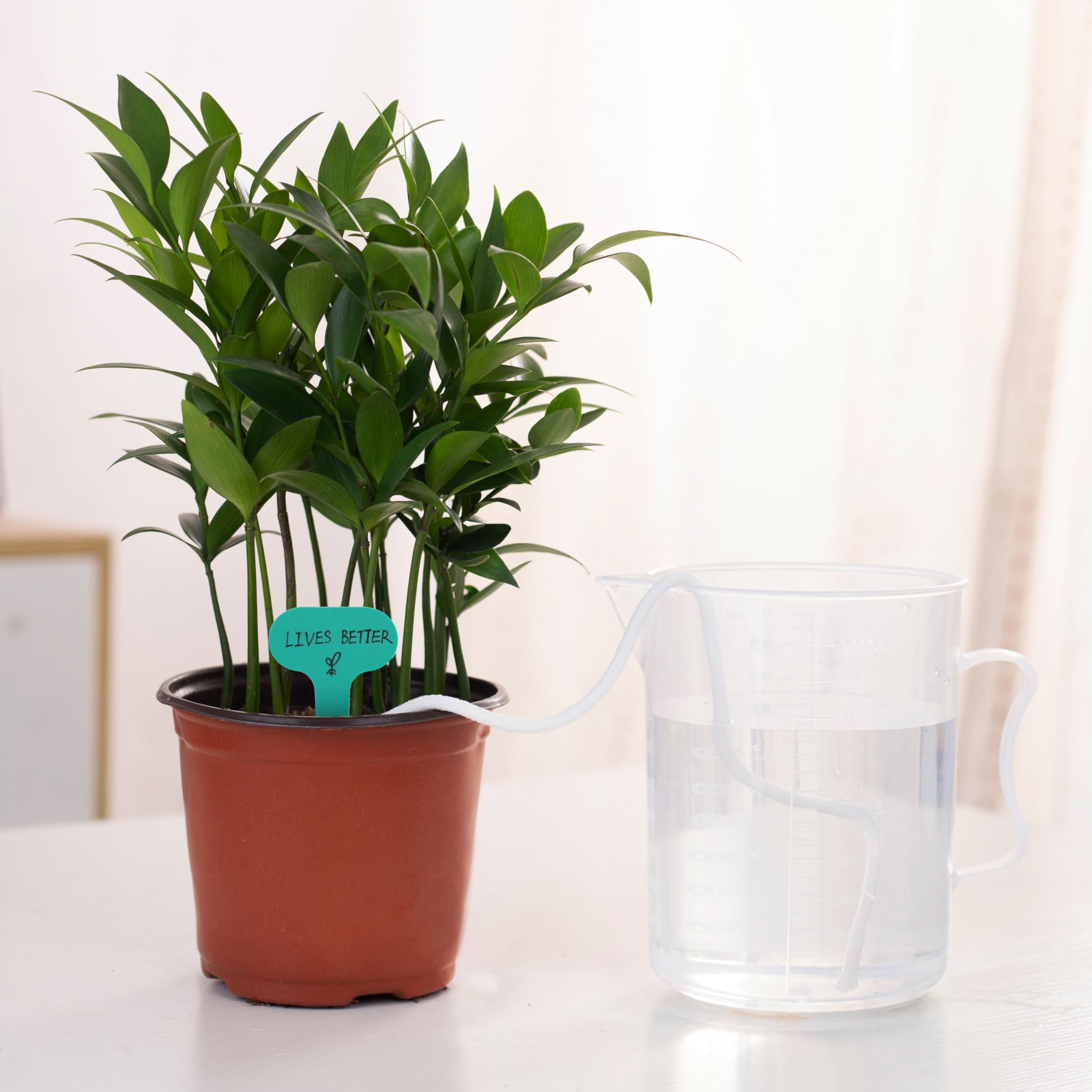 ORIMERC reusable wicking cord provides long lasting plant care.