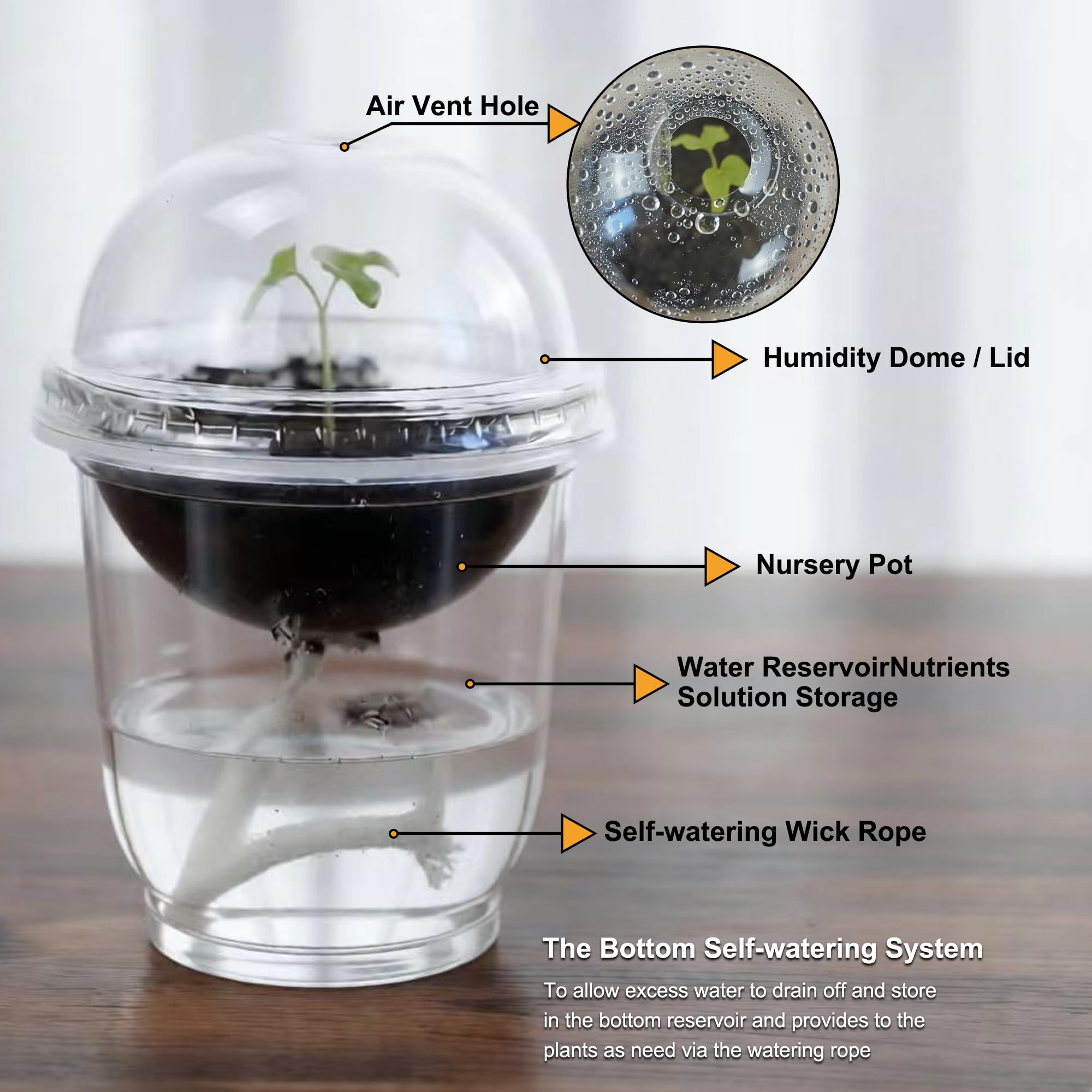 ORIMERC self-watering kit keeps seedlings hydrated with minimal effort