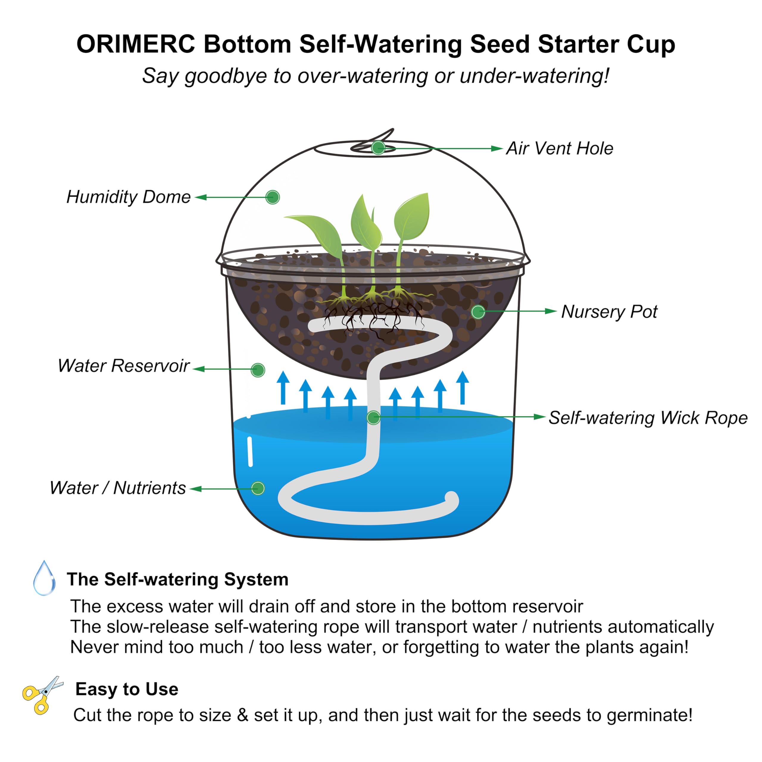 ORIMERC transparent seedling cups let you monitor roots and soil moisture