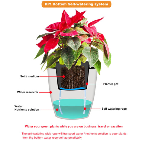 ORIMERC vacation care system keeps plants hydrated while away.