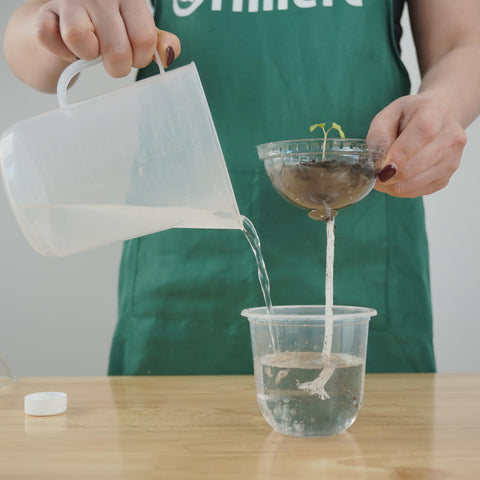 ORIMERC versatile pots ideal for seed starting and root cutting projects