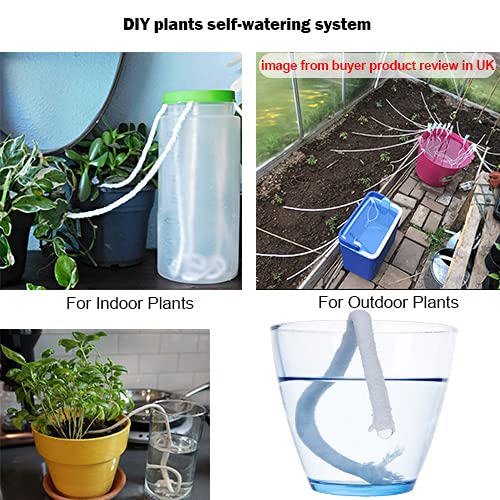 ORIMERC violet auto seedling watering supports healthy roots.