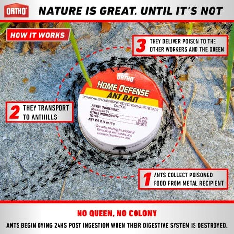 Ortho Ant Killer Outdoor bait stations lure ants outside to protect living spaces.