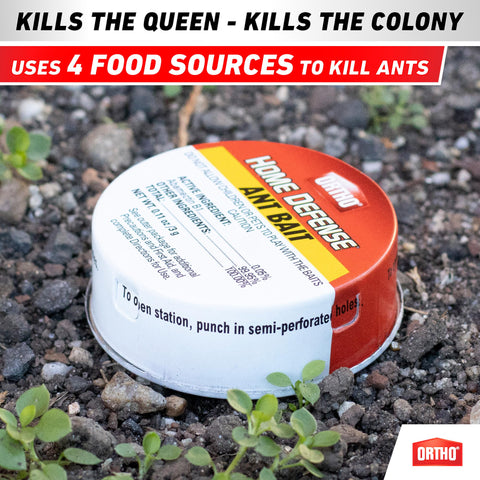 Indoor pet-safe ant traps target colonies while keeping pets safe.