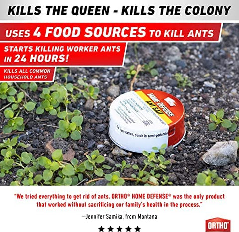 Ortho Ant Traps Indoor with adhesive tray for discreet indoor placement.