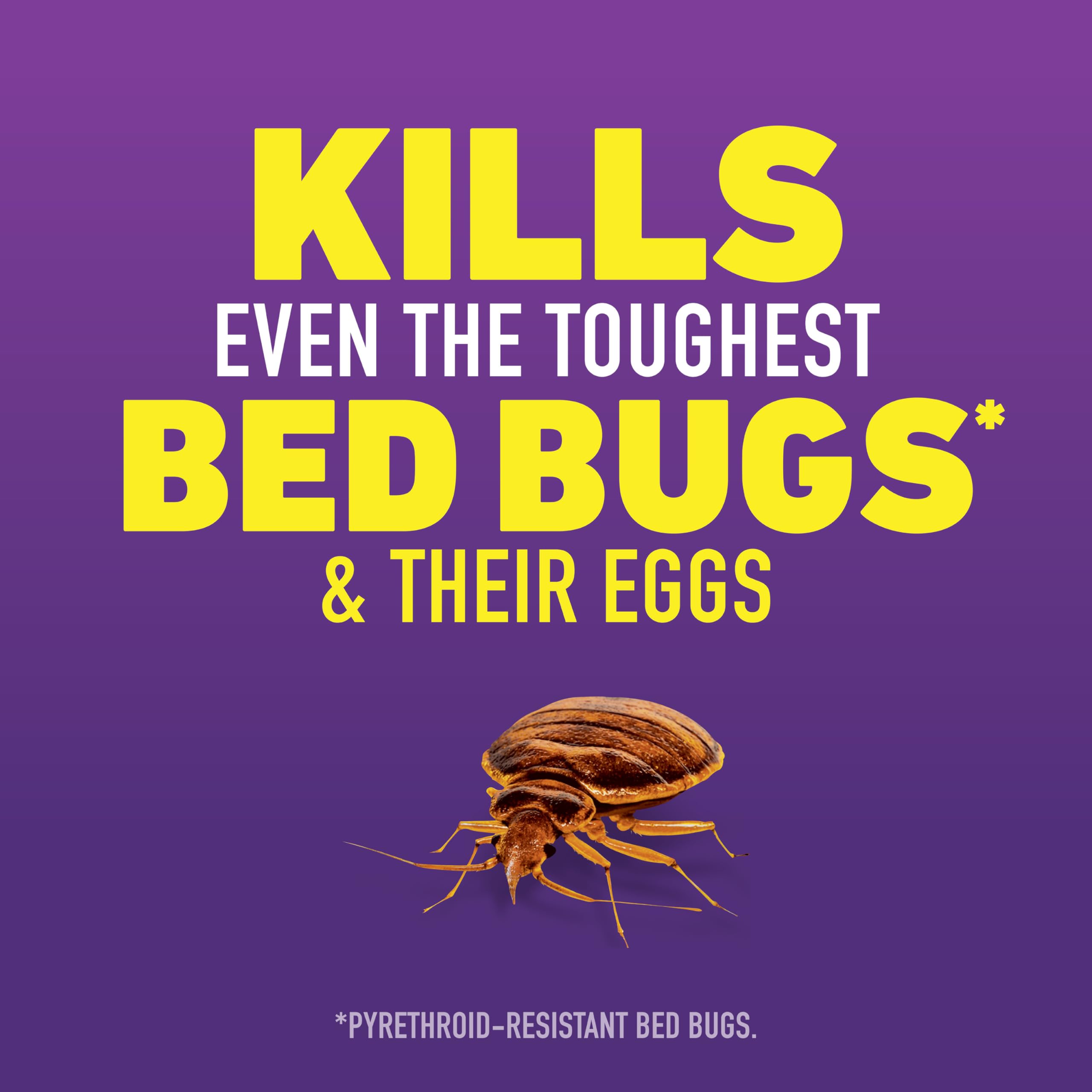 Ortho bed bug eggs action targets hidden bed bug eggs and nymphs