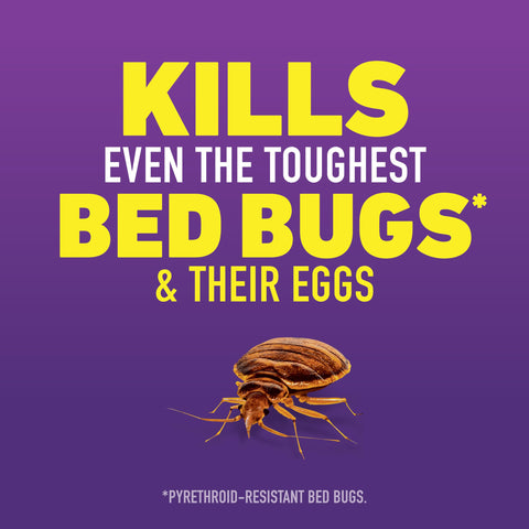 Ortho bed bug eggs action targets hidden bed bug eggs and nymphs