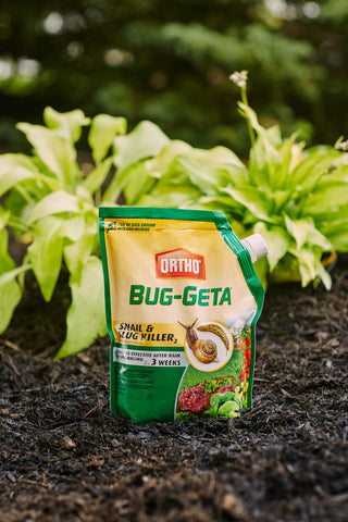 Ortho Bug-Geta Snail & Slug Killer2 granular spread around vegetables