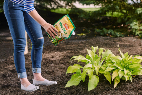 Ortho Bug-Geta Snail & Slug Killer2 near fruit trees supports healthy yields