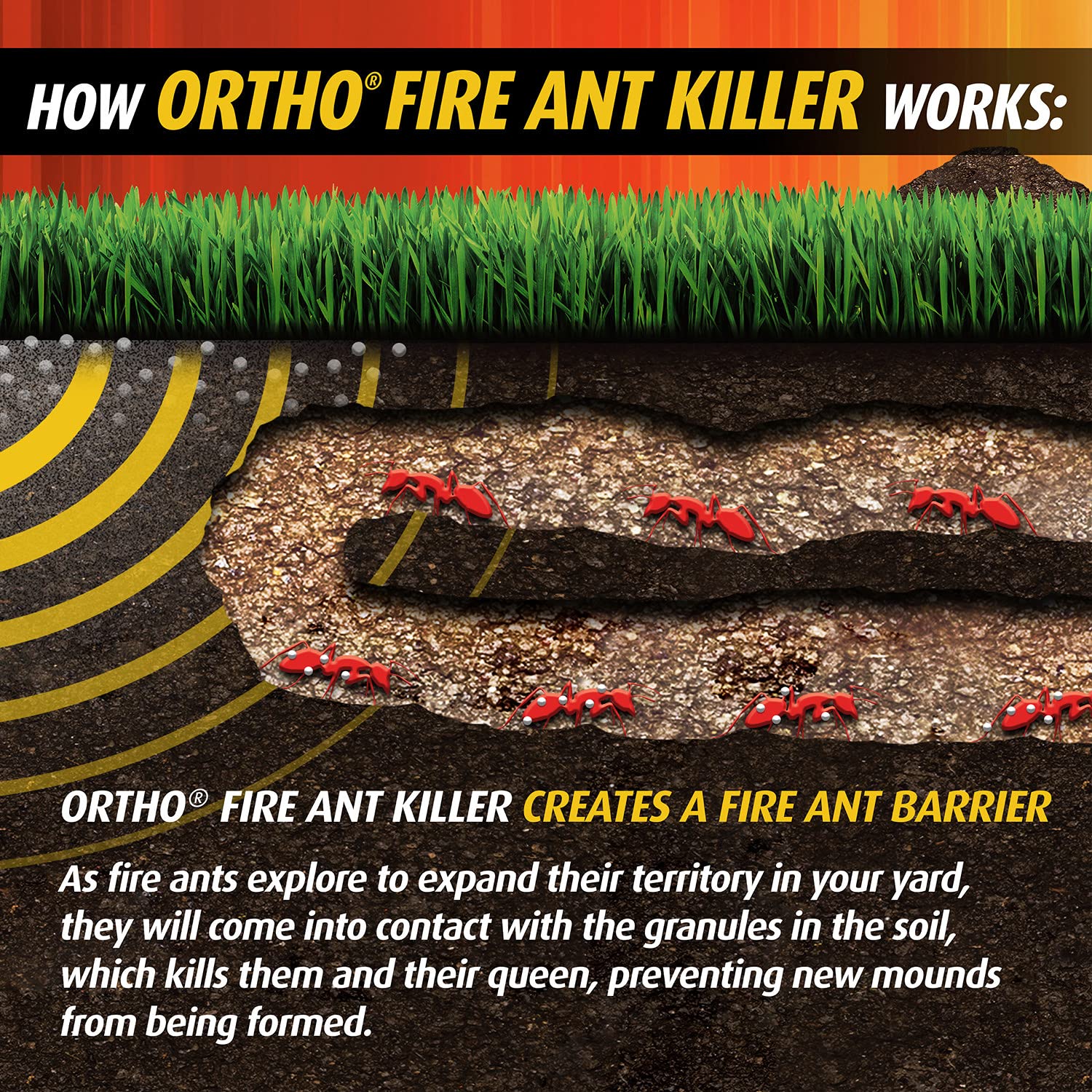 Granules on lawn showing queen-free mound prevention.