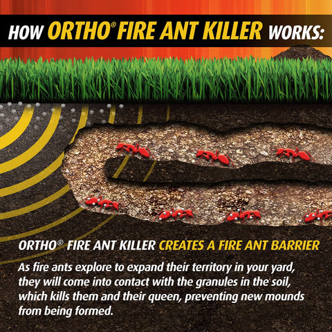 Granules on lawn showing queen-free mound prevention.