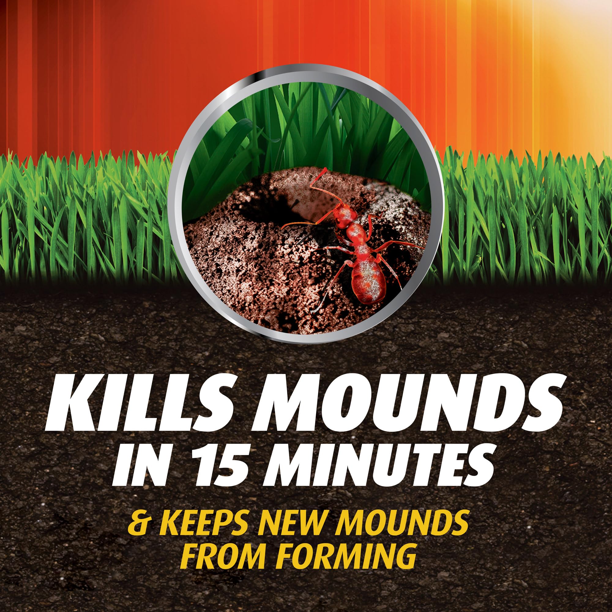 Ortho Fire Ant Killer Mound Treatment1 mound drenched with water for activation.