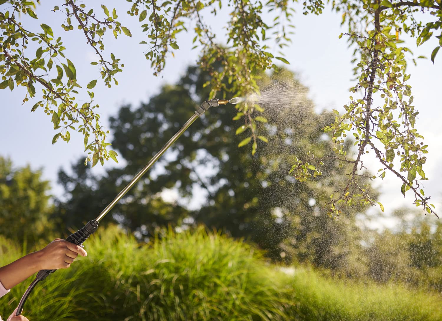 Ortho spray mist on branches for even coverage on trees