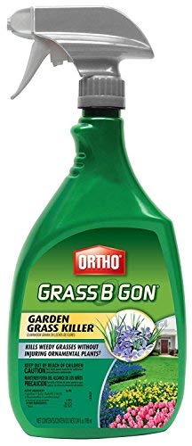 Ortho Grass B Gon garden grass killer spray bottle for non-edible areas with two 24 oz bottles