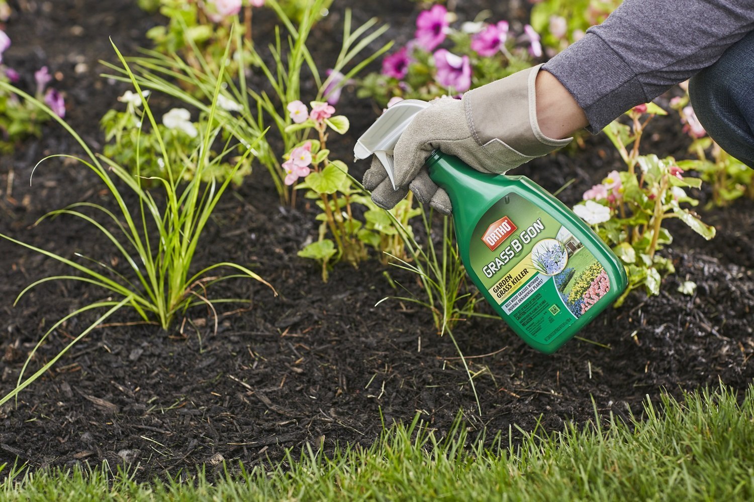 Ortho Grass B Gon label showcases ready-to-use convenience for quick lawn care