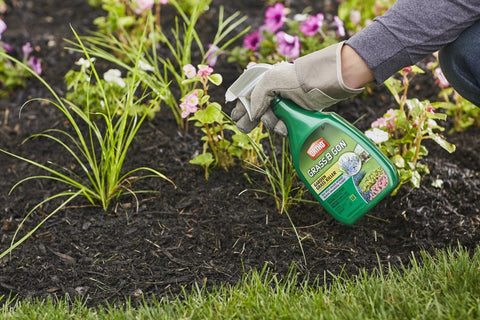 Ortho Grass B Gon label showcases ready-to-use convenience for quick lawn care