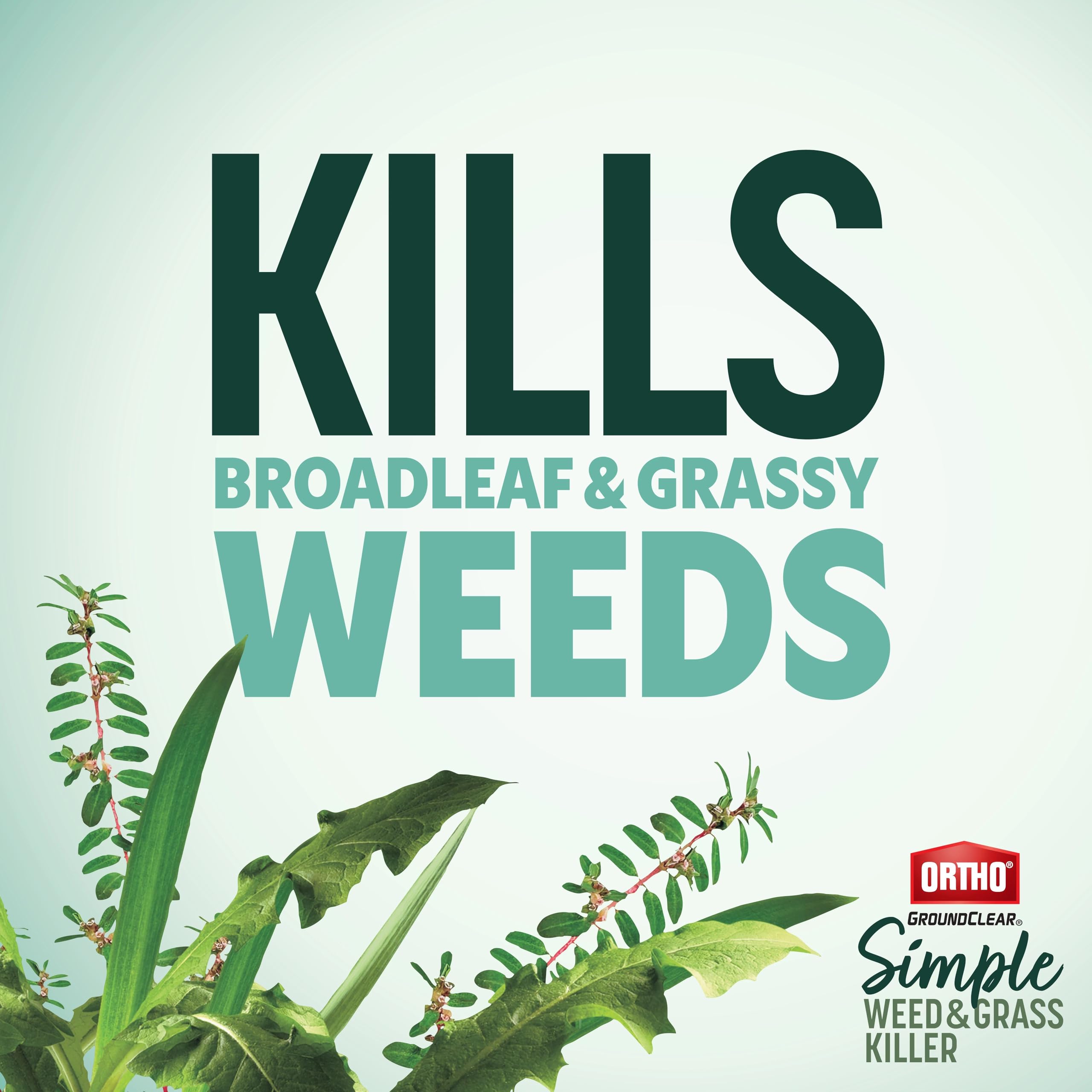 Ortho GroundClear floral bed treatment targets weeds without harming plants nearby