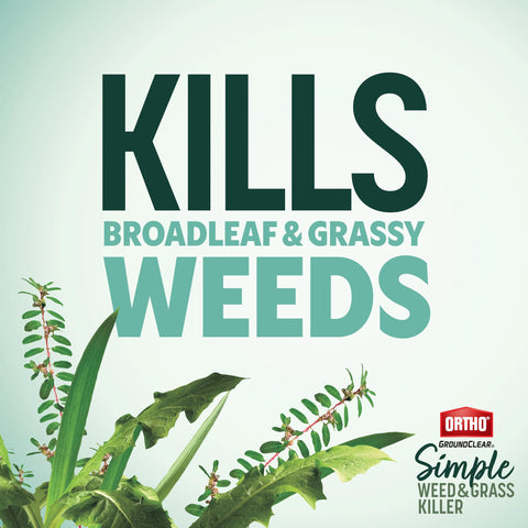 Ortho GroundClear floral bed treatment targets weeds without harming plants nearby