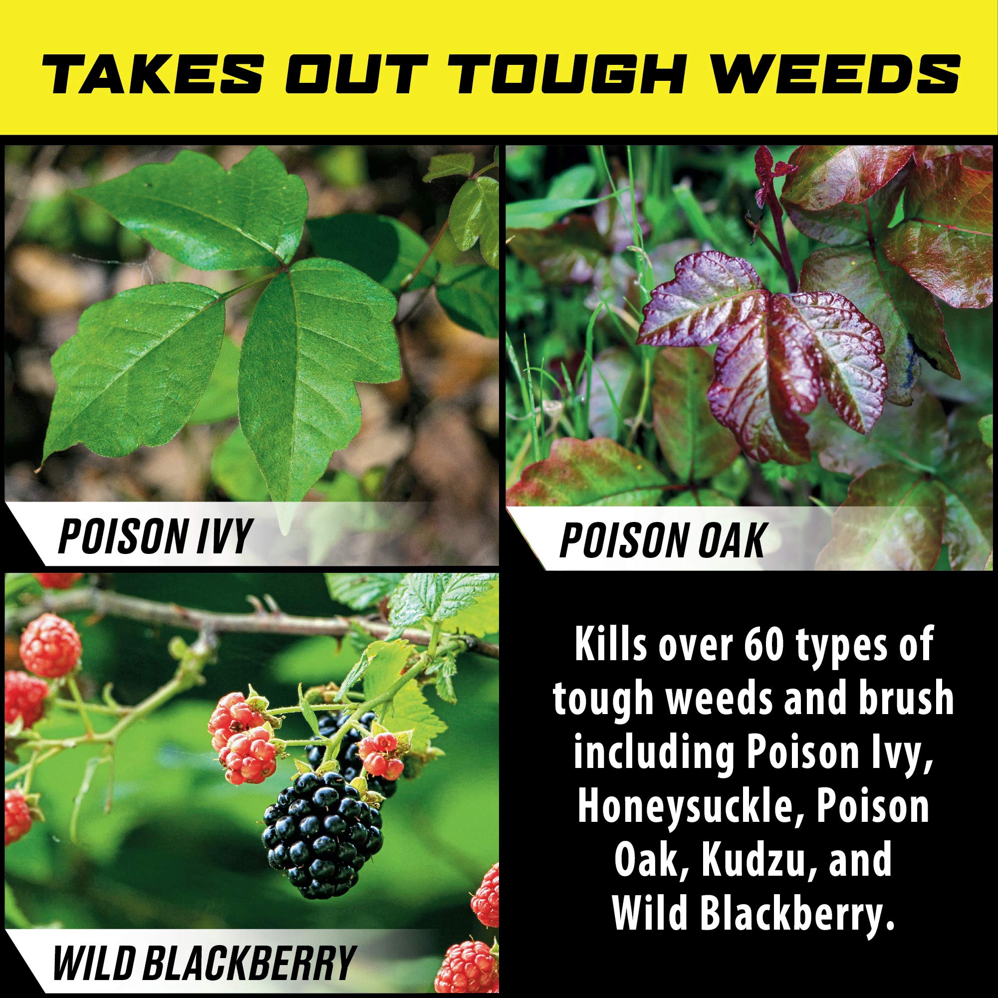 Ortho GroundClear targets poison ivy and brush to the roots.