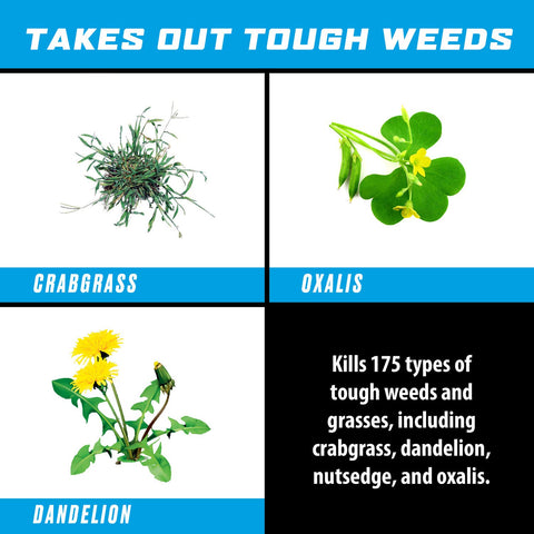Ortho GroundClear rainfast within 15 minutes after spraying.