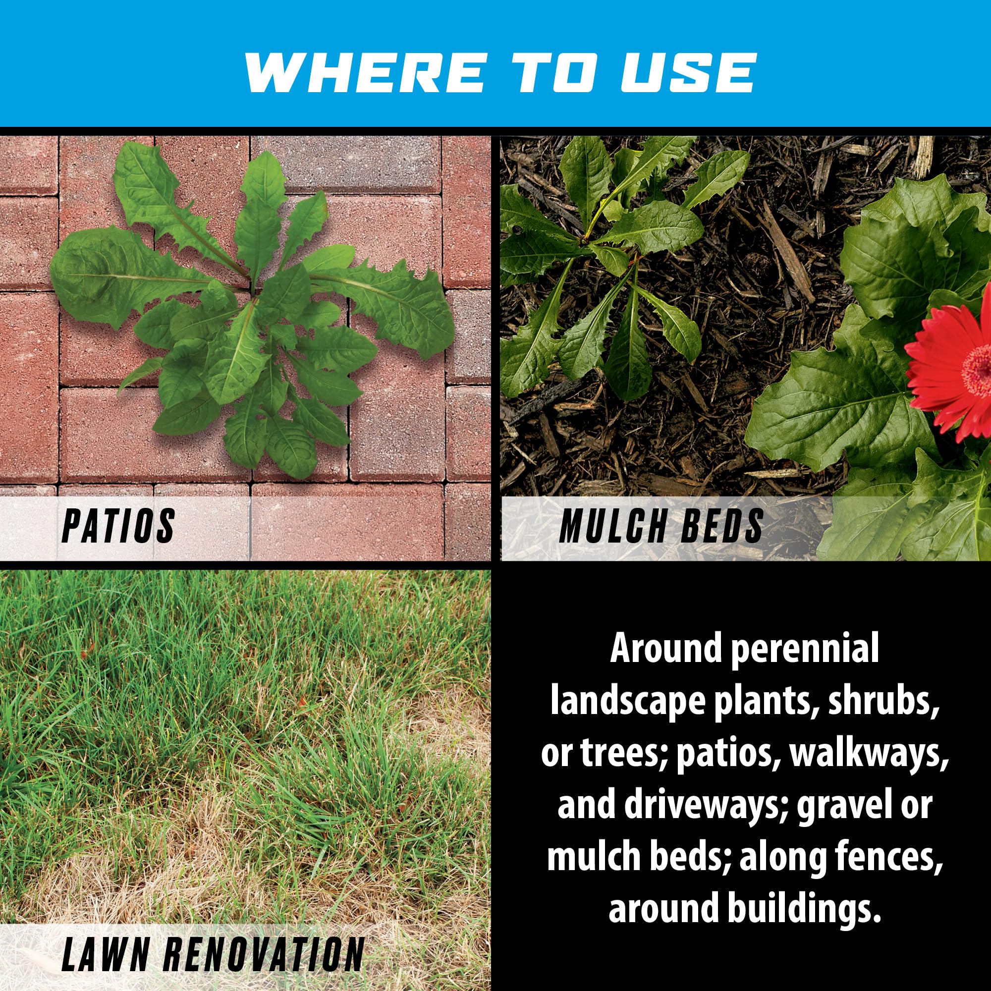 Ortho GroundClear showing fast-acting results within hours on common weeds.
