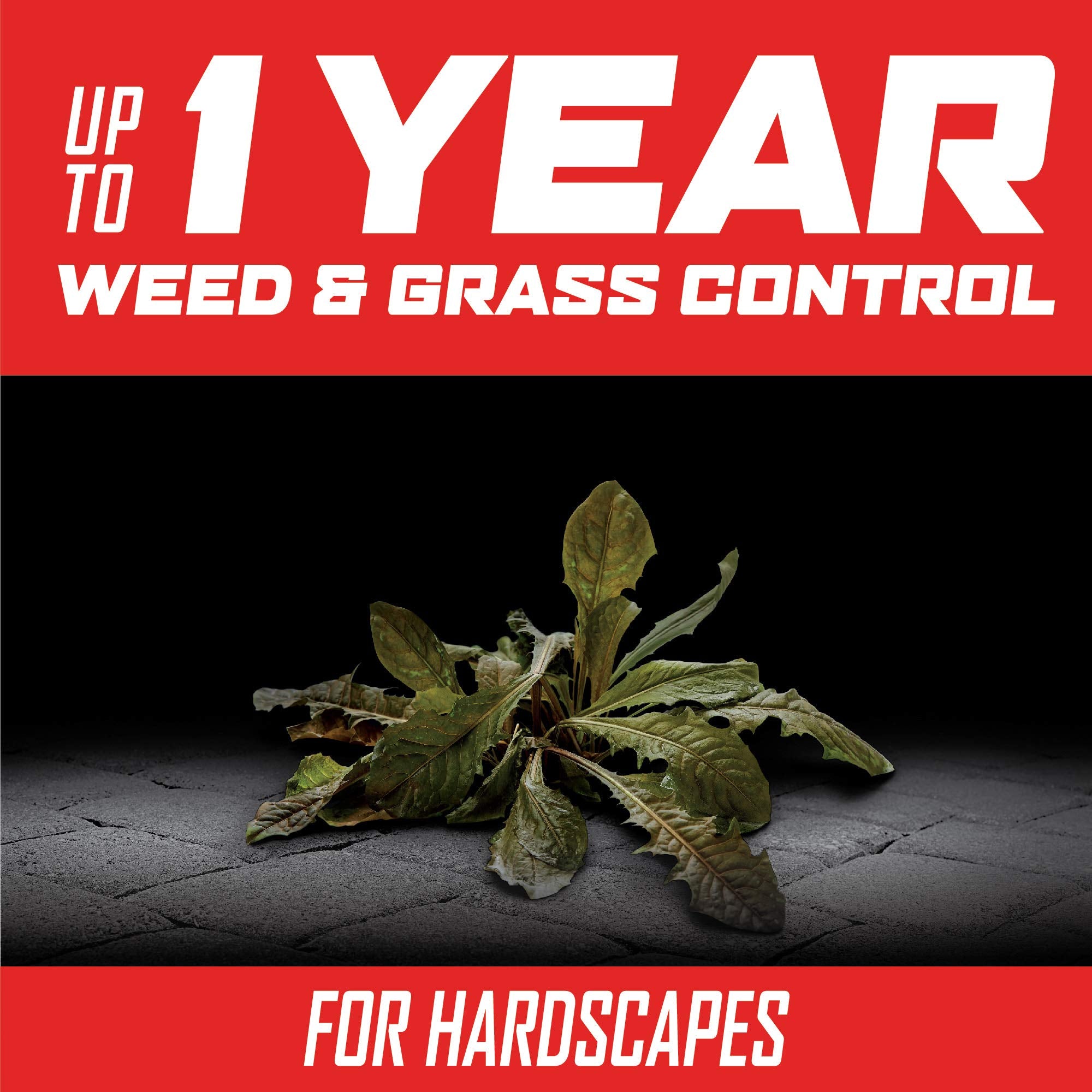 Ortho GroundClear provides up to one year of weed control with a single application