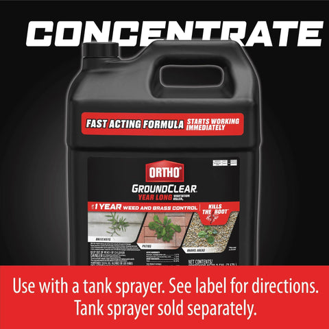 Ortho GroundClear Year Long on a paver patio keeps surfaces weed-free