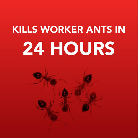 Ortho Home Defense 4PK uses four food sources to attract ants.