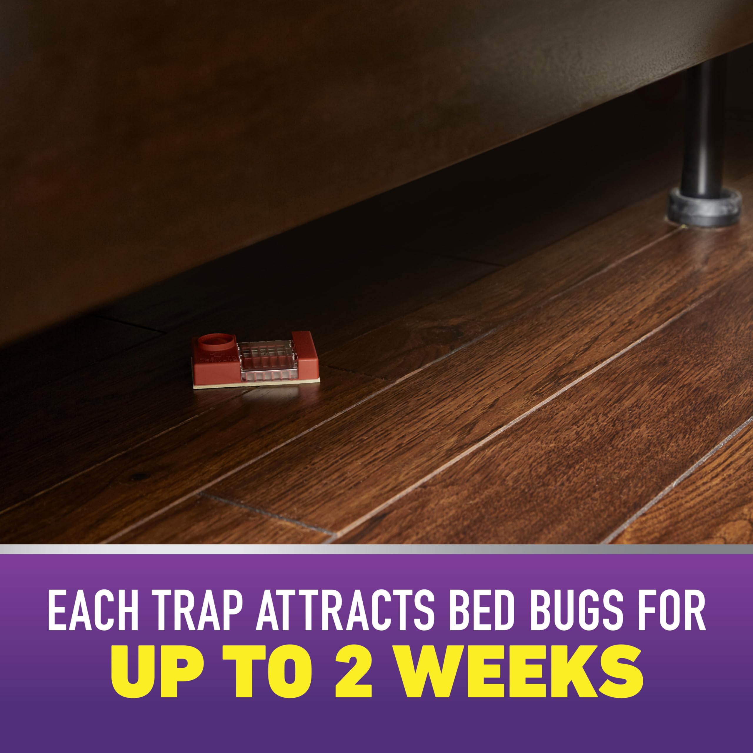 Ortho Home Defense Bed Bug Trap placed beside sofa or recliner aids detection in living spaces