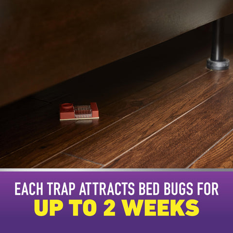 Ortho Home Defense Bed Bug Trap placed beside sofa or recliner aids detection in living spaces