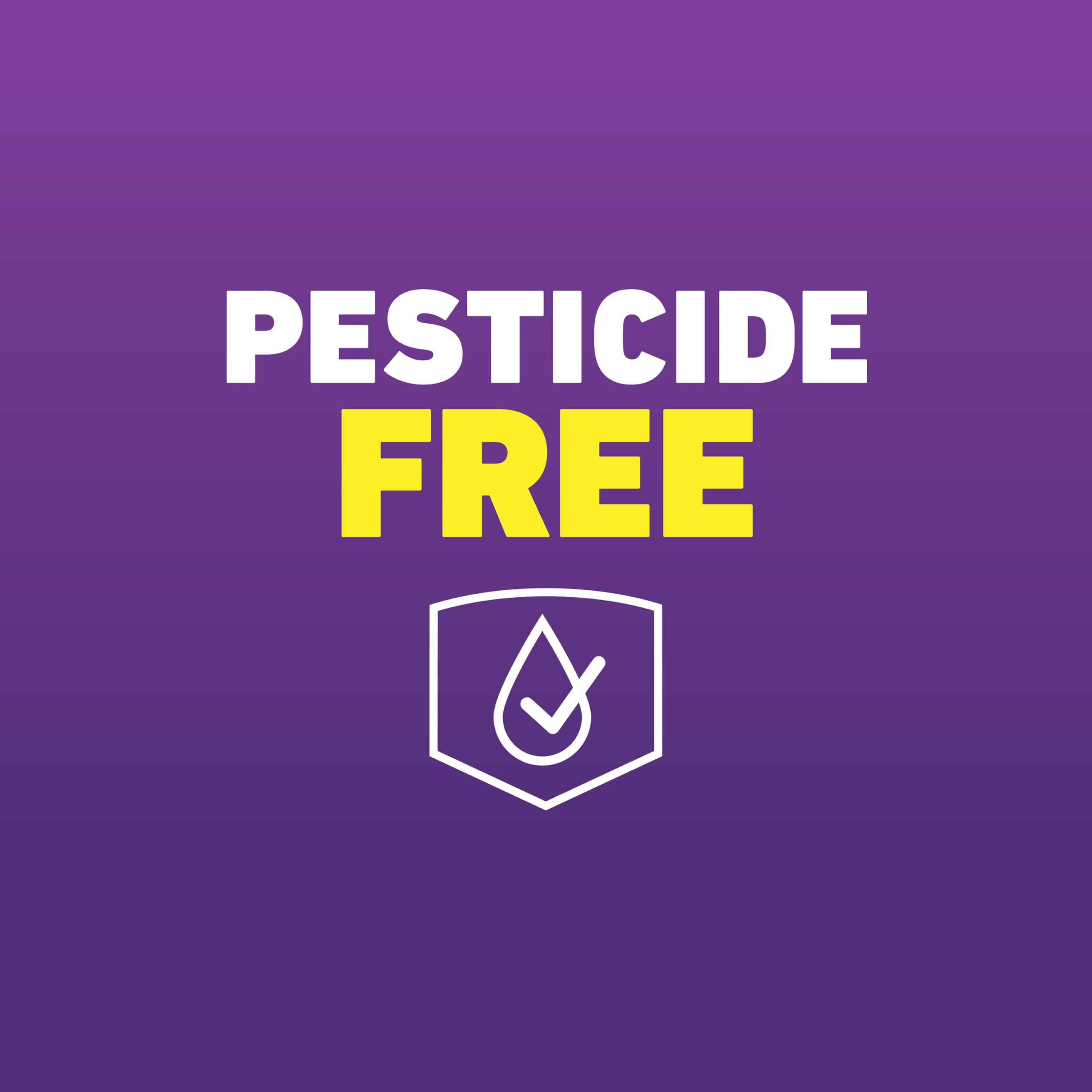 Ortho Home Defense Bed Bug Trap viewing window shows test results at a glance