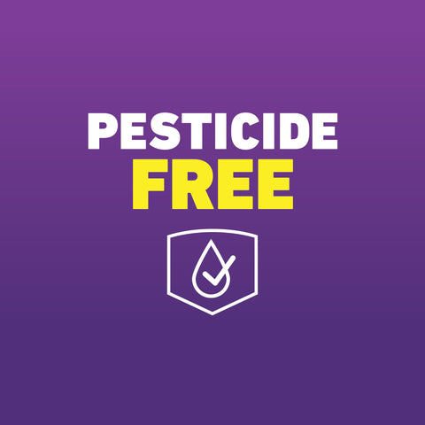 Ortho Home Defense Bed Bug Trap viewing window shows test results at a glance