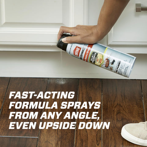 Ortho Home Defense Max angled-spray reaches cracks and crevices