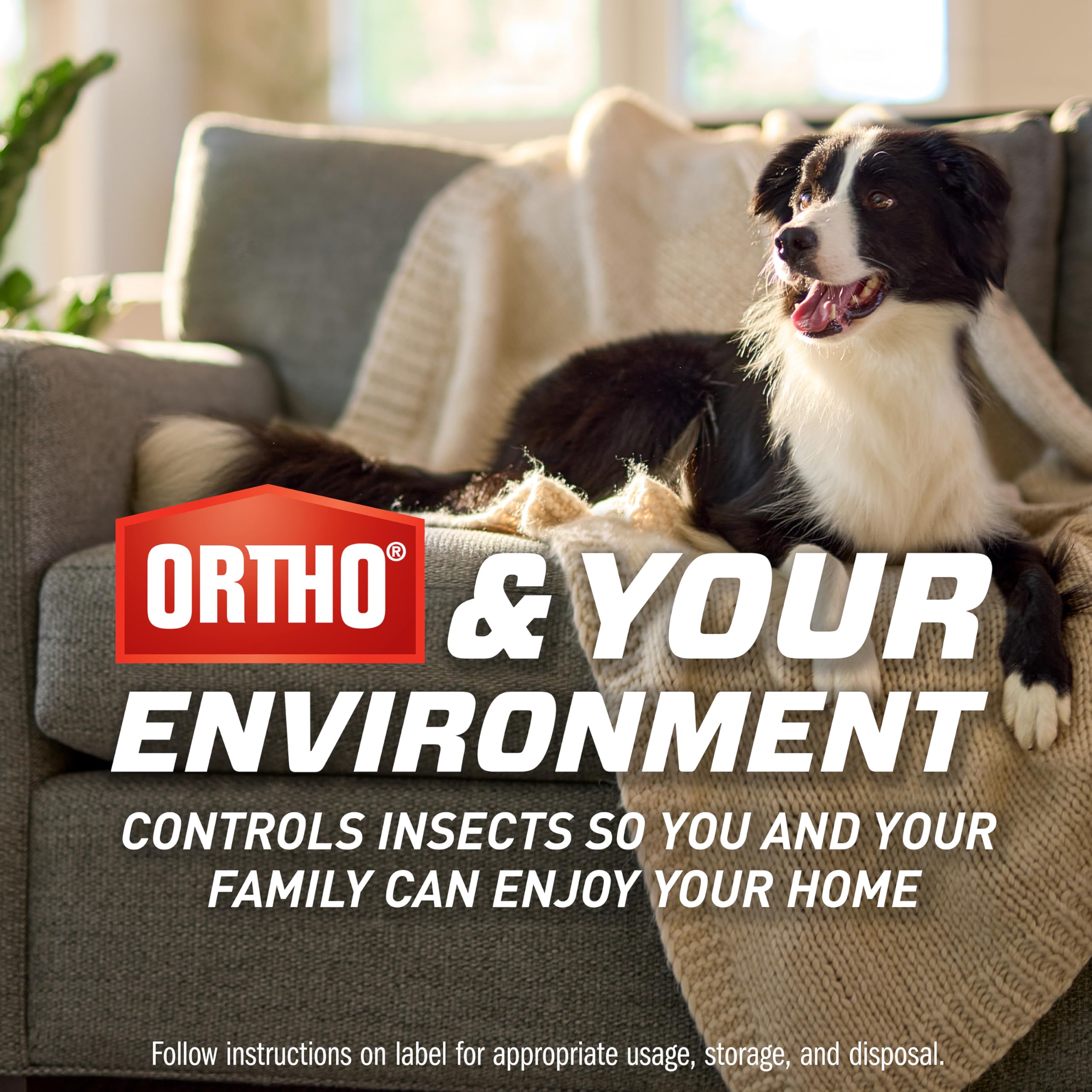 Ortho Home Defense Max helps protect plant areas and fruit corners from gnats