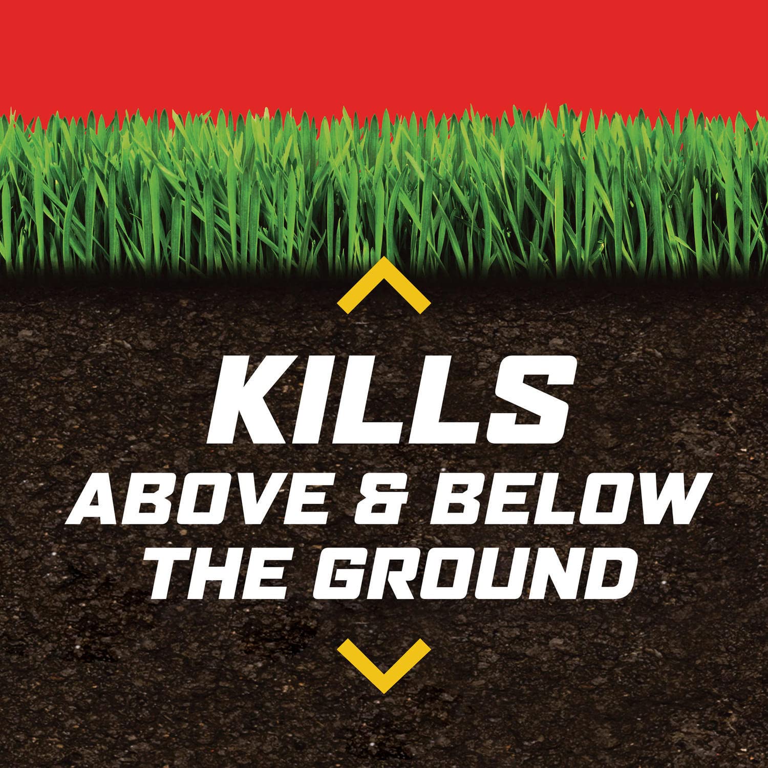 Ortho Lawn Insect Killer Granules 10-lb bag for large yards.