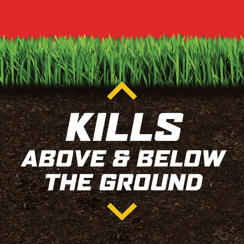 Ortho Lawn Insect Killer Granules 10-lb bag for large yards.