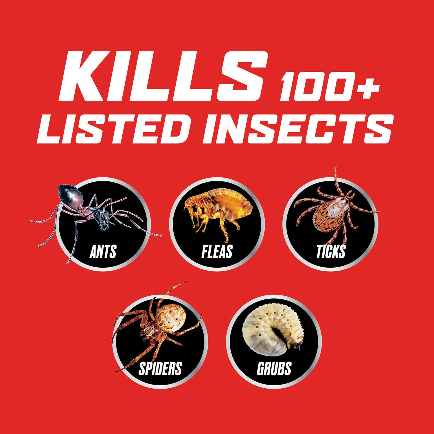 Ortho Lawn Insect Killer Granules illustrate 10,000 sq ft coverage potential.