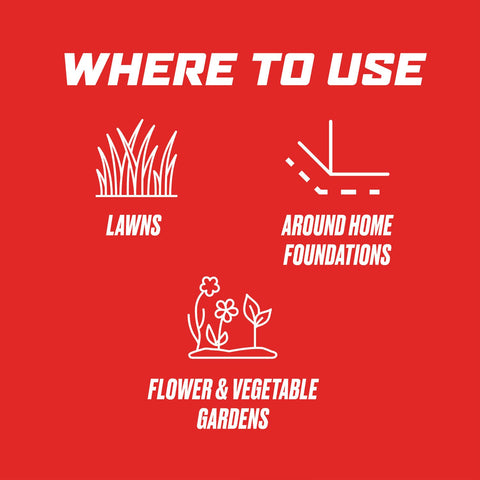 Ortho Lawn Insect Killer Granules label shows insects controlled.