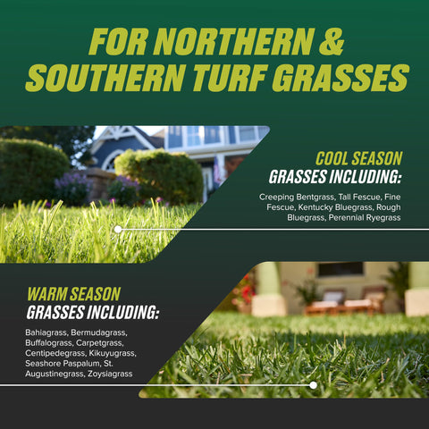 Ortho Nutsedge Killer for Lawns spray action on lawn