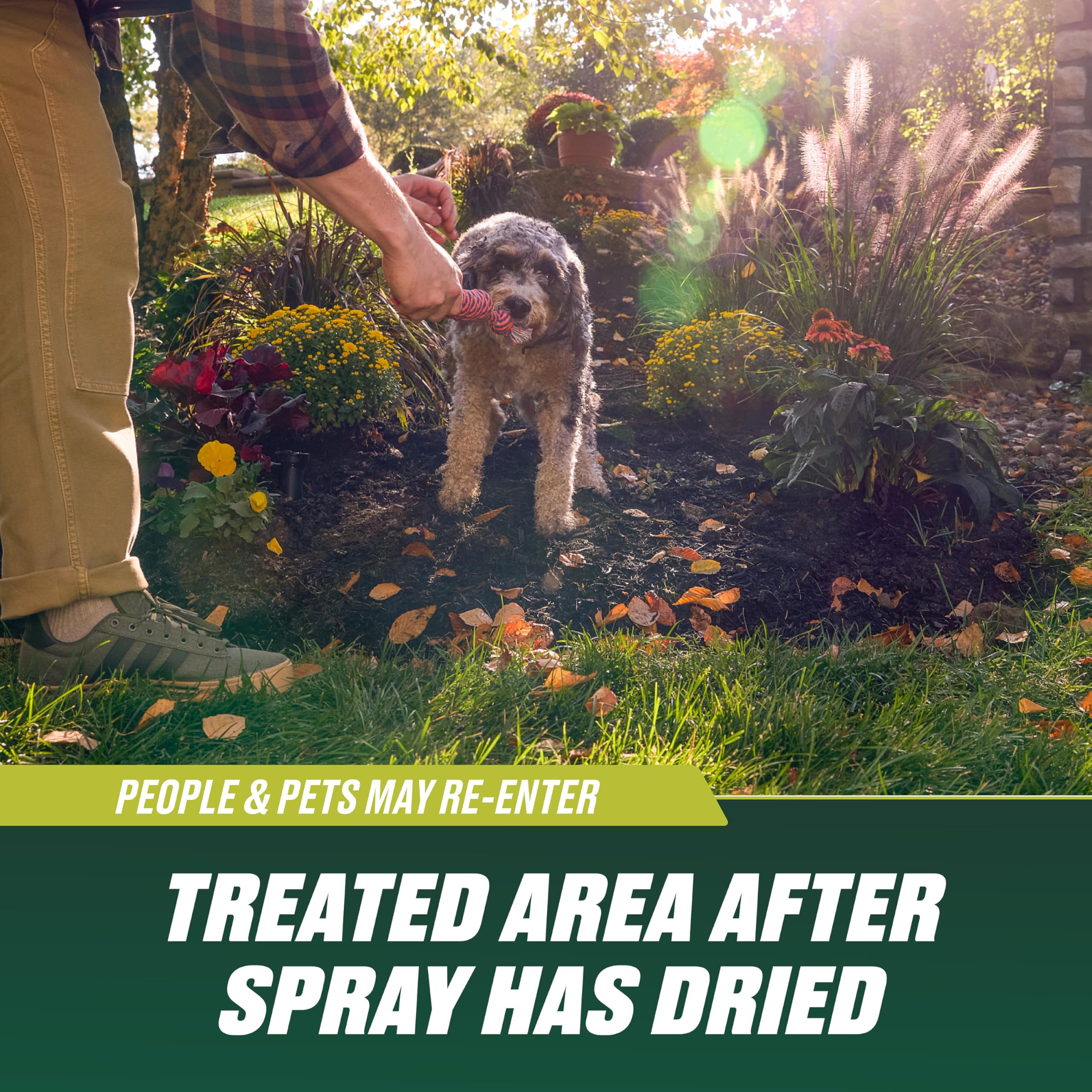 Ortho Nutsedge Killer for Lawns dandelion and dollarweed treatment in lawn
