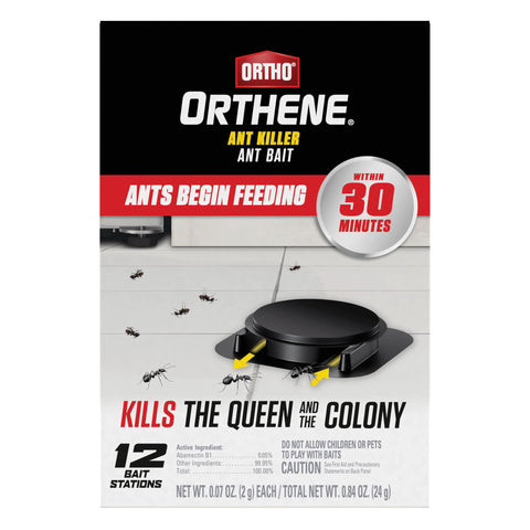 Ortho Orthene ant killer bait station placed along baseboard to target foraging ants.
