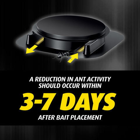 Bait stations placed in corners reduce ant activity in rooms.