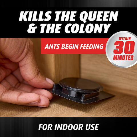 Adhesive back on bait station for easy kitchen and garage placement.
